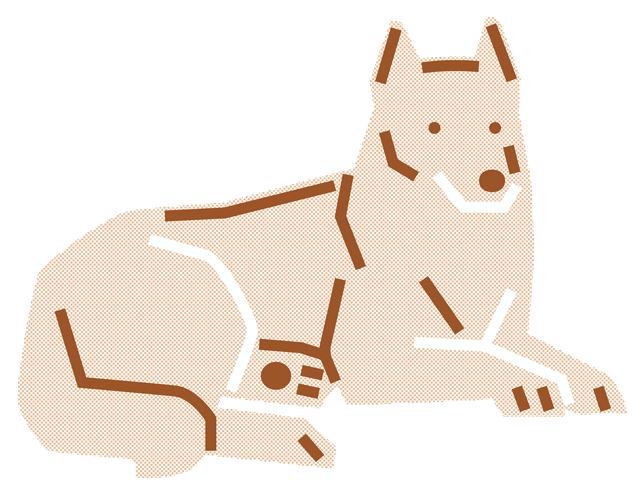 柴犬 Mochi 的插畫