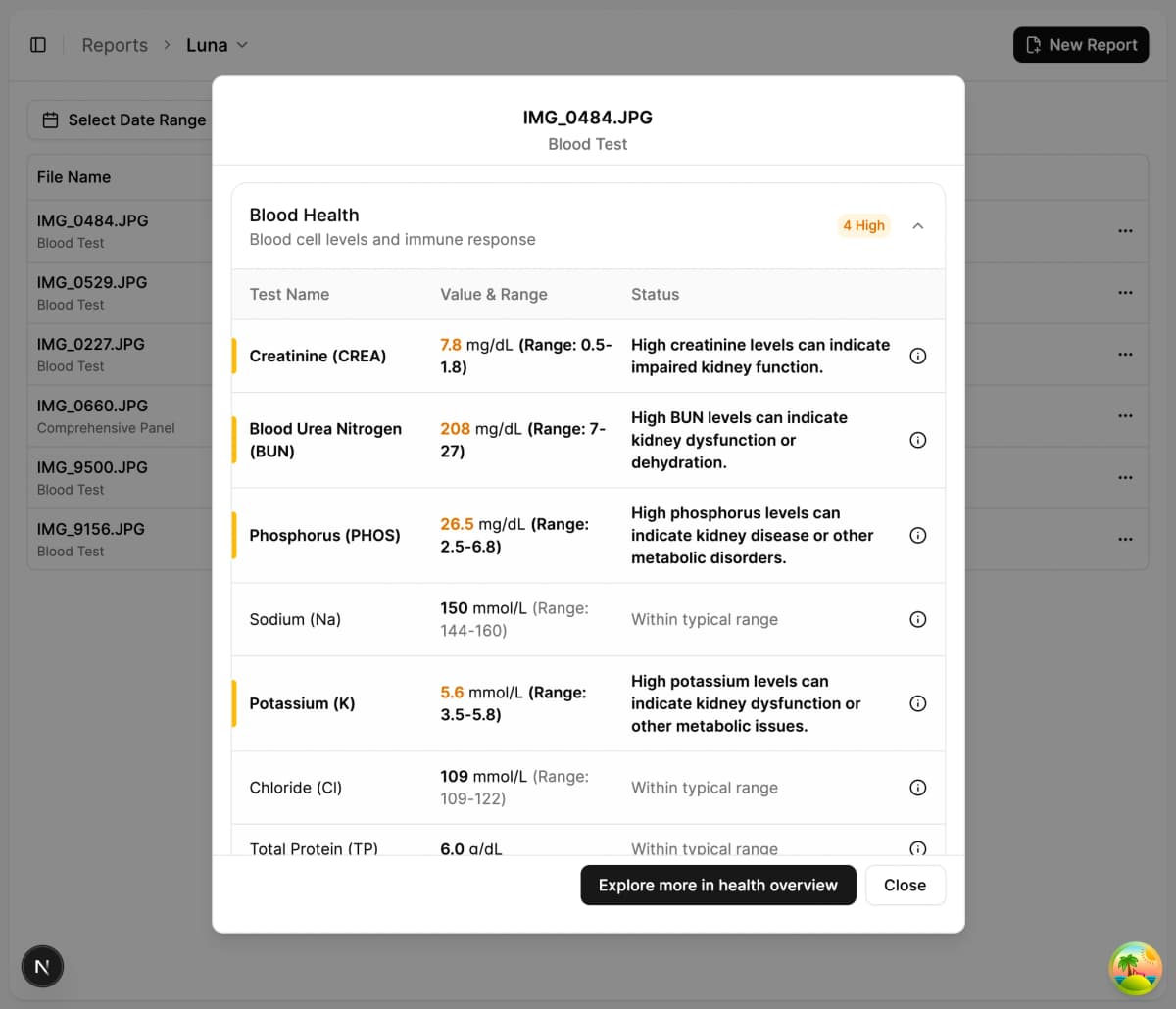 Instant Report Analysis