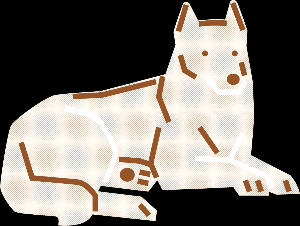 柴犬 Mochi 的插畫